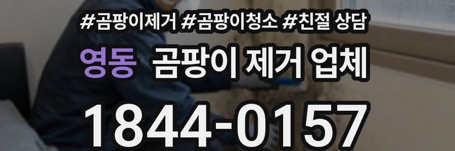 영동 곰팡이 제거 업체