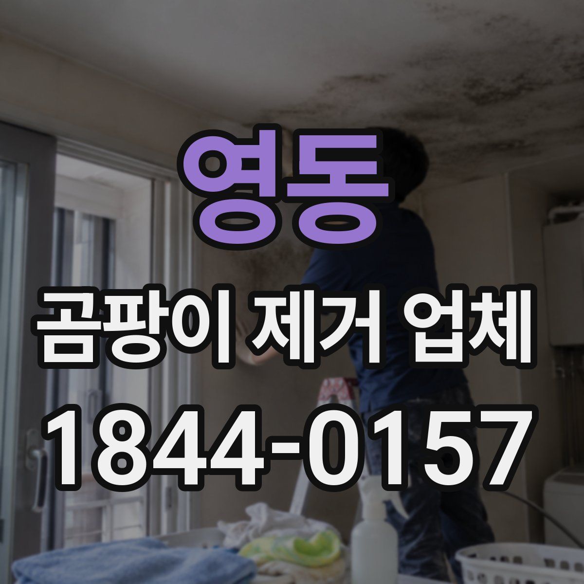 영동 곰팡이 제거 업체