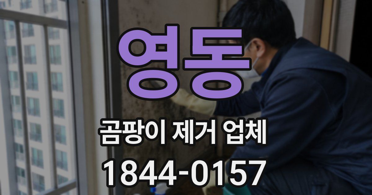 영동 곰팡이 제거 업체