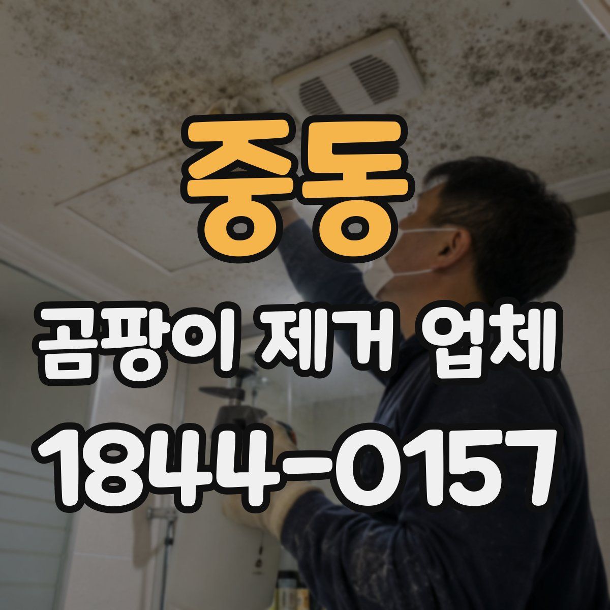 중동 곰팡이 제거 업체