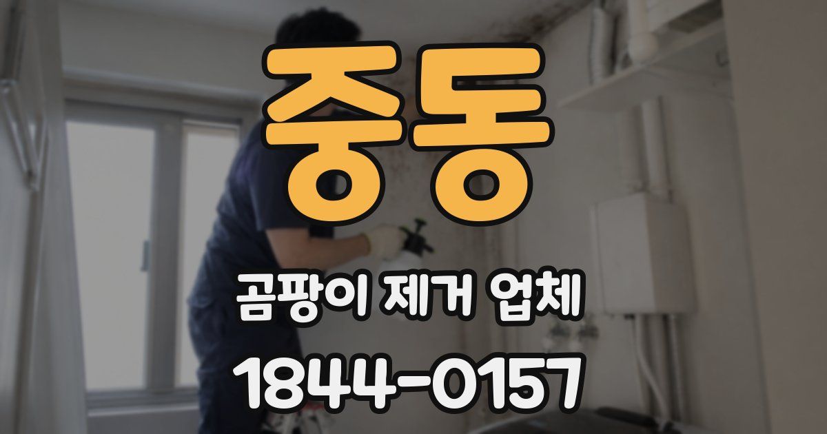 중동 곰팡이 제거 업체