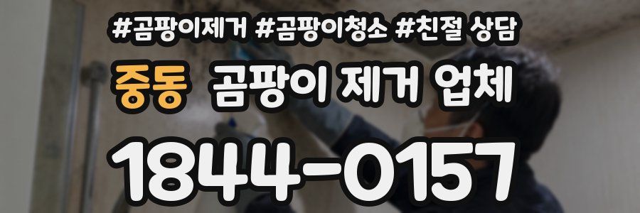 중동 곰팡이 제거 업체