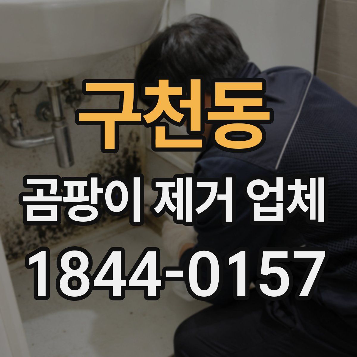 구천동 곰팡이 제거 업체