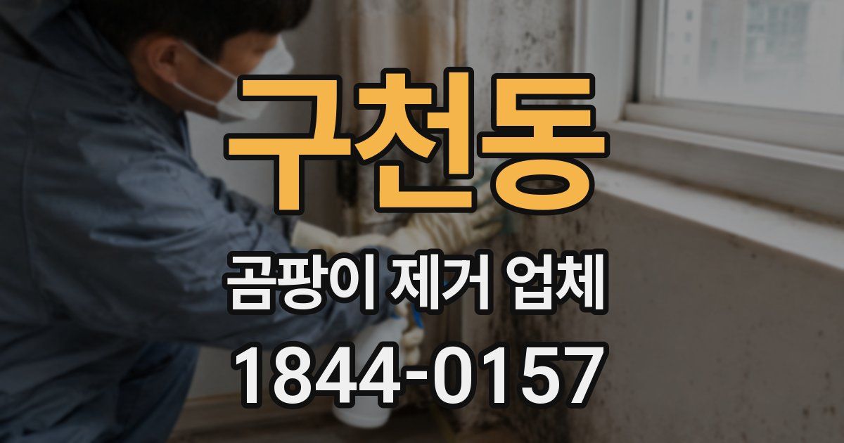 구천동 곰팡이 제거 업체