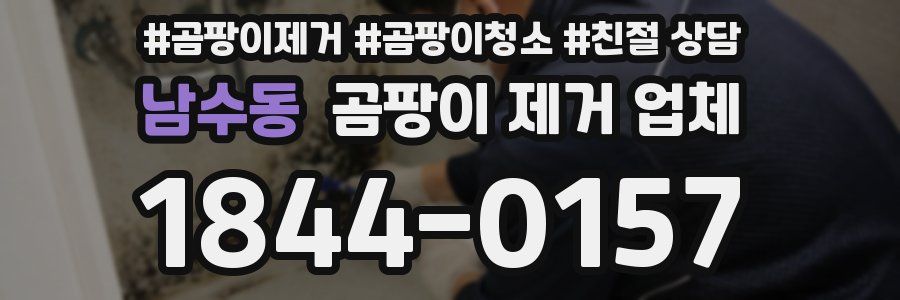 남수동 곰팡이 제거 업체