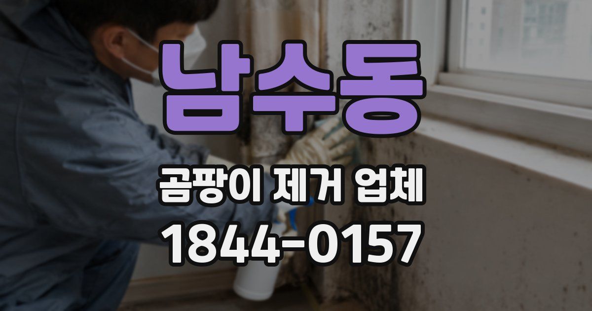 남수동 곰팡이 제거 업체