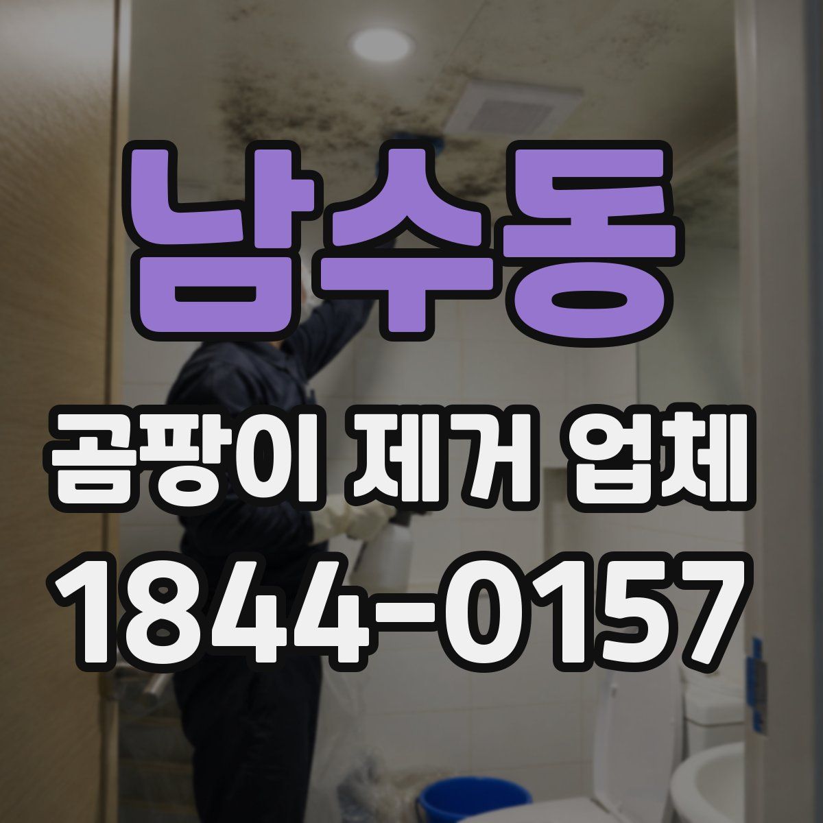 남수동 곰팡이 제거 업체