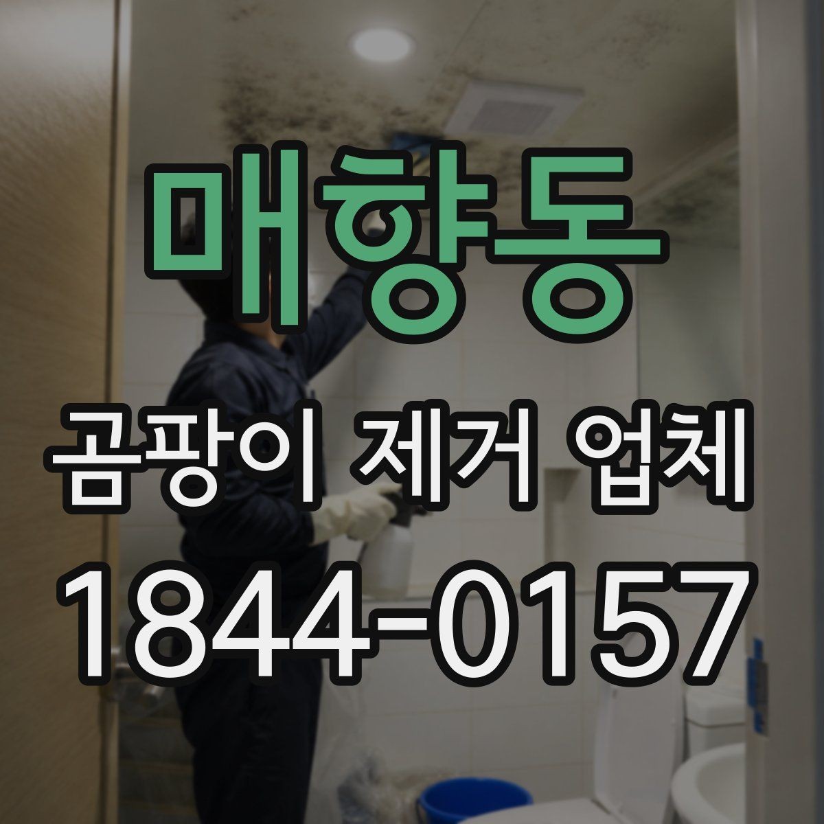 매향동 곰팡이 제거 업체 상담 시 질문 리스트
