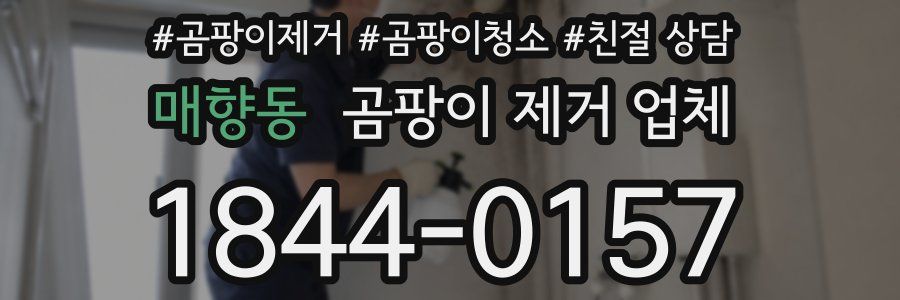 매향동 곰팡이 제거 업체