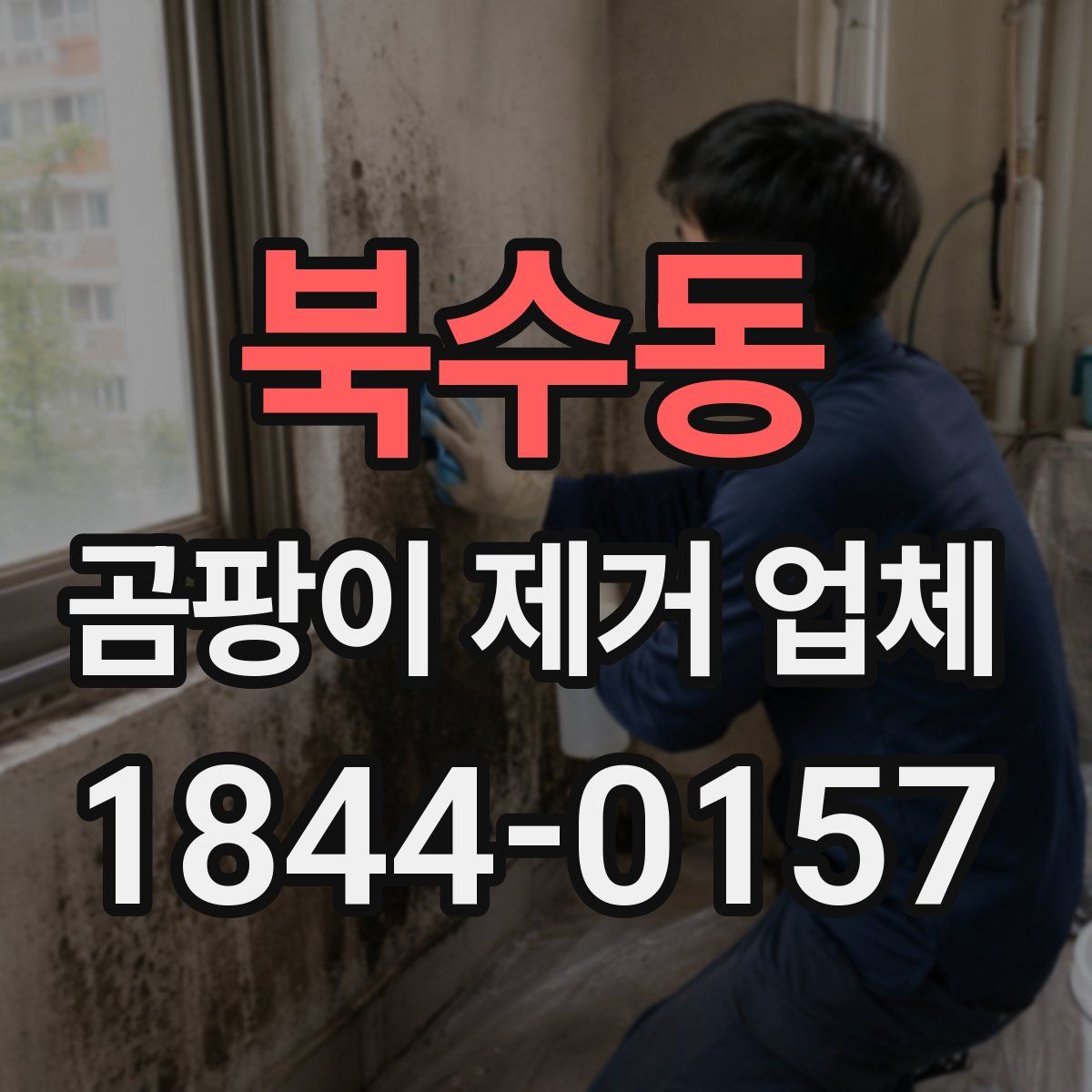 북수동 곰팡이 제거 업체