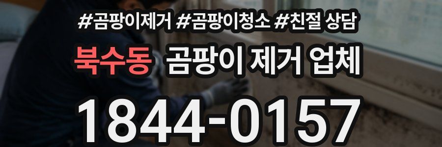 북수동 곰팡이 제거 업체