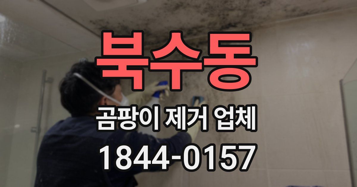 북수동 곰팡이 제거 업체