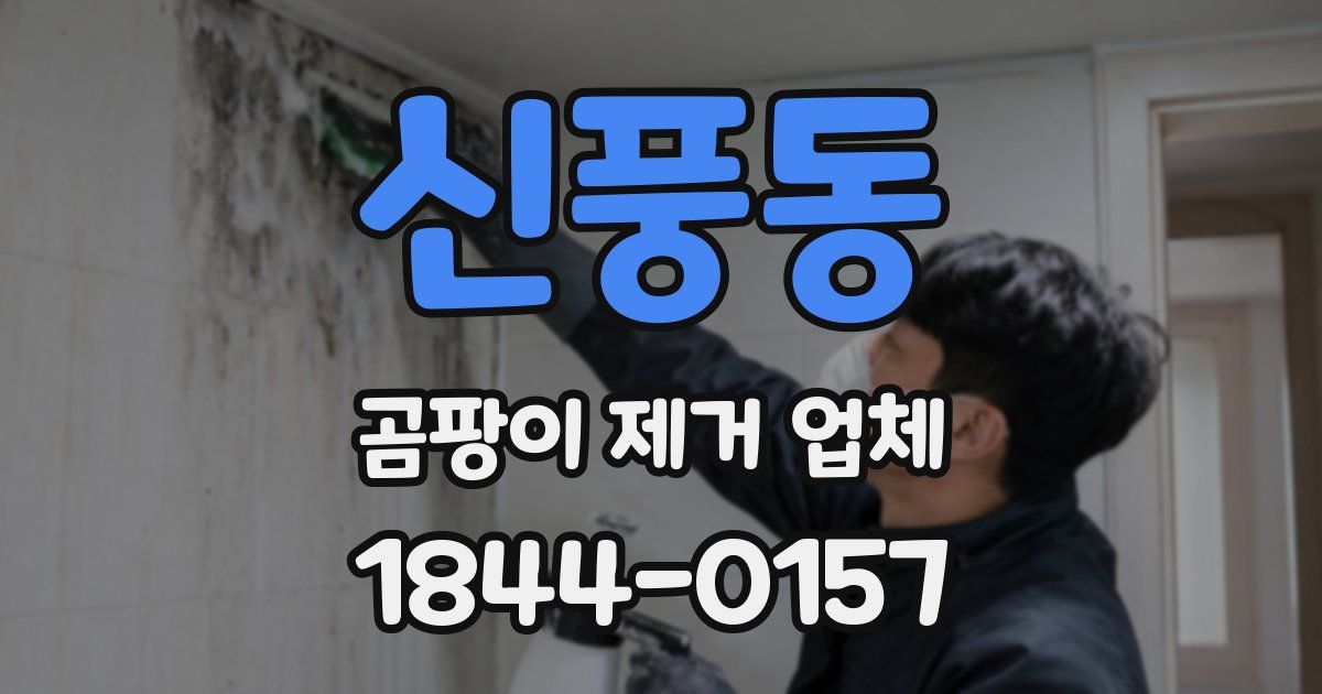 신풍동 곰팡이 제거 업체