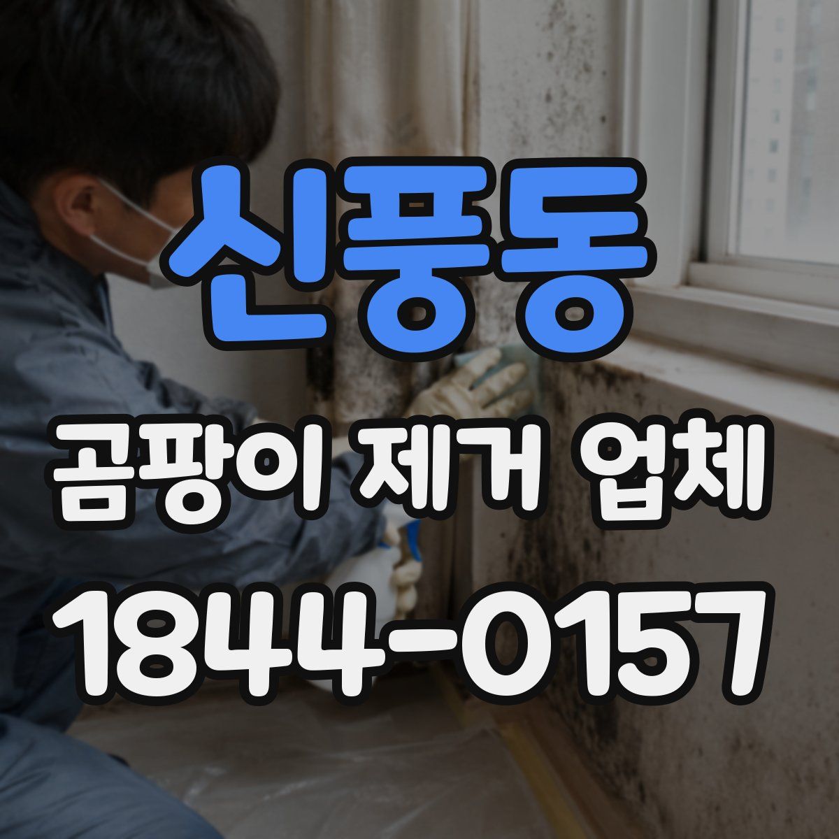 신풍동 곰팡이 제거 업체
