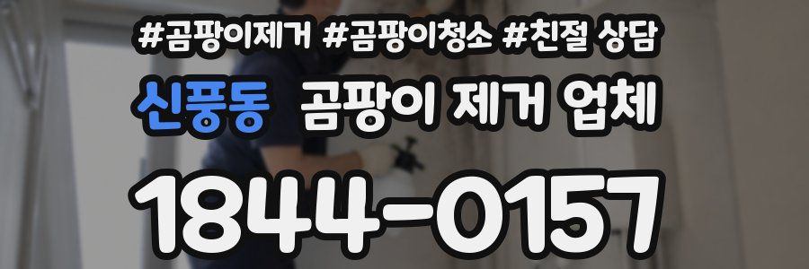 신풍동 곰팡이 제거 업체
