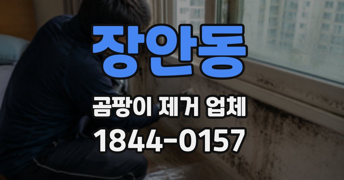 장안동 곰팡이 제거 업체