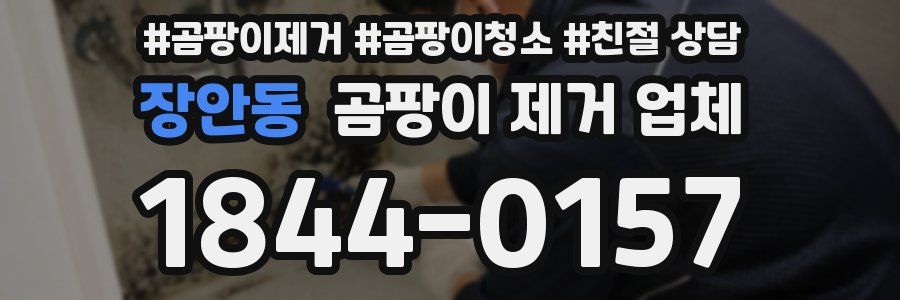 장안동 곰팡이 제거 업체