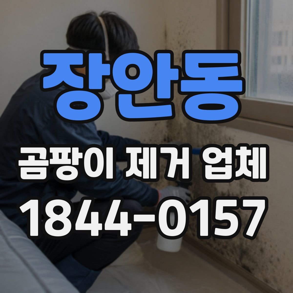 장안동 곰팡이 제거 업체
