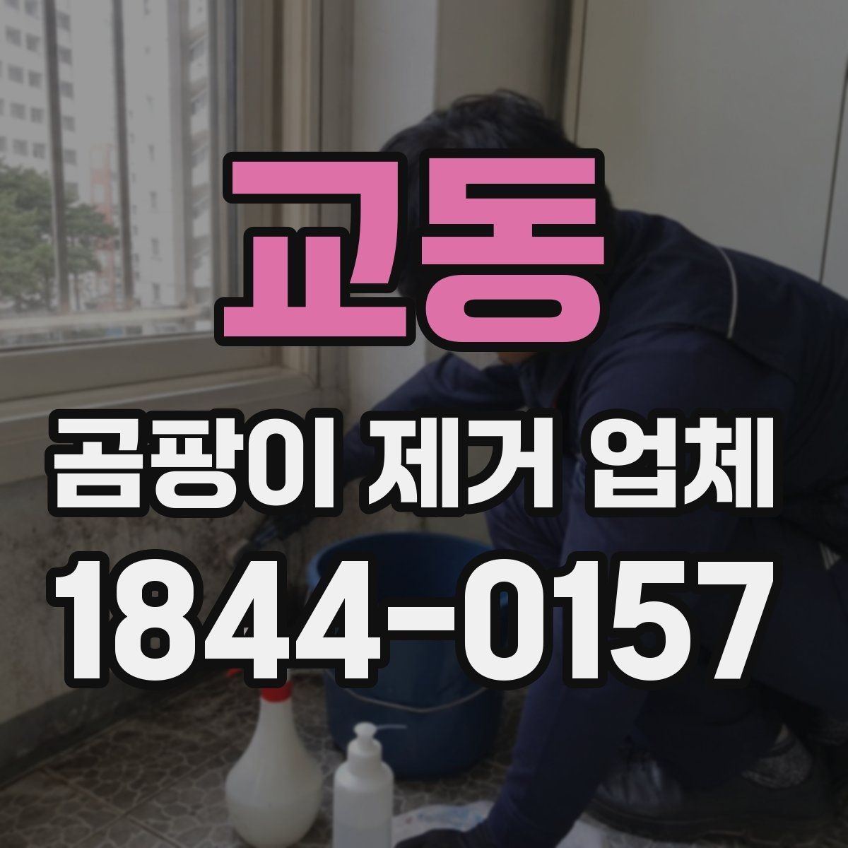교동 곰팡이 제거 업체 선택 시 실내 환경까지 고려하기