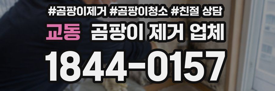 교동 곰팡이 제거 업체