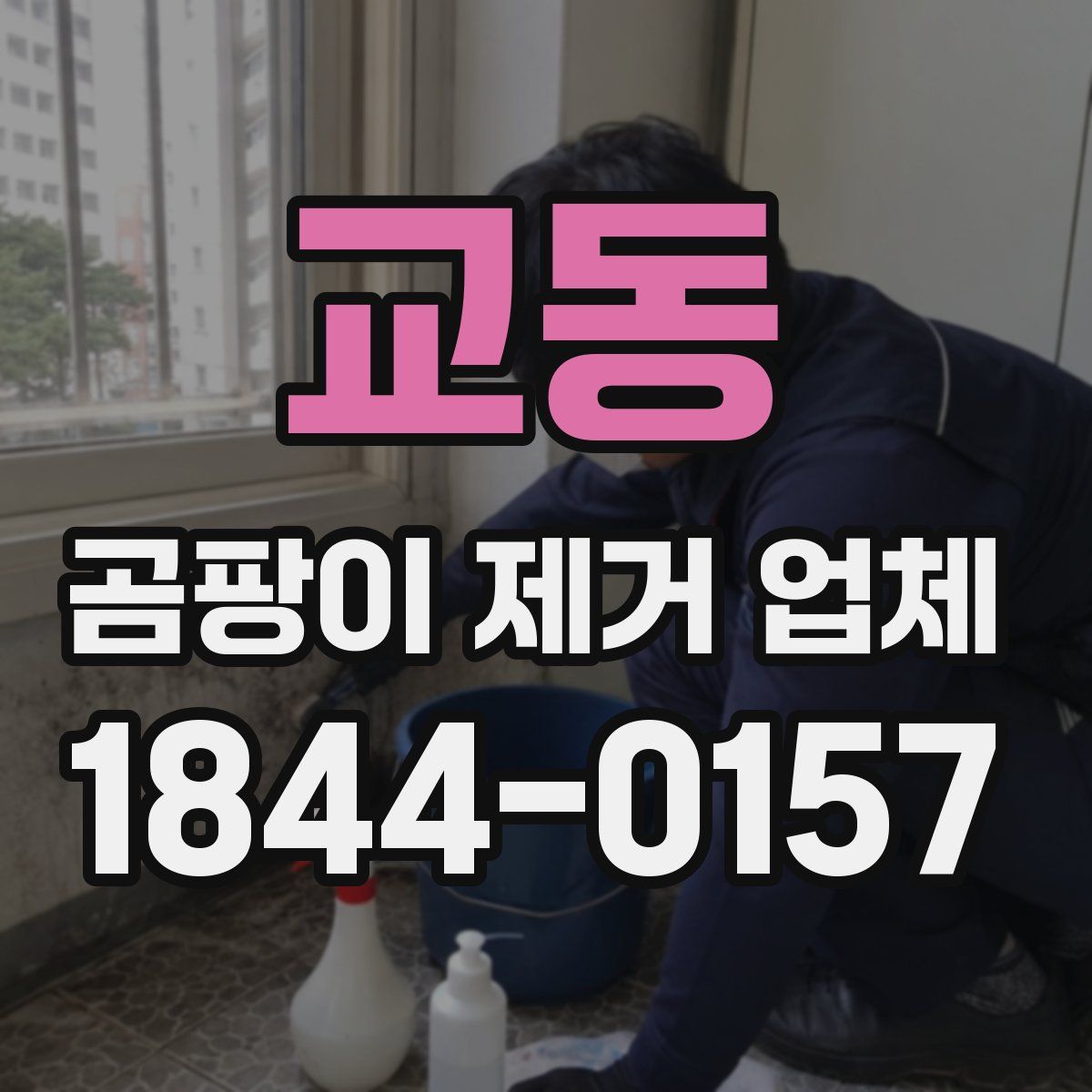 교동 곰팡이 제거 업체