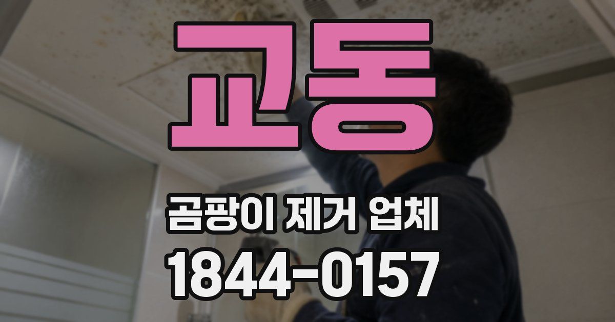교동 곰팡이 제거 업체