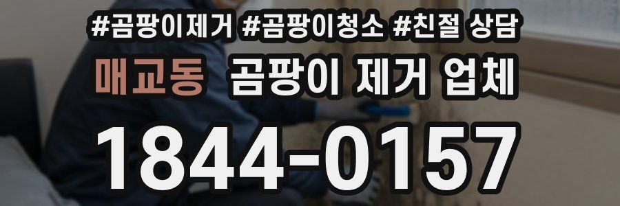 매교동 곰팡이 제거 업체