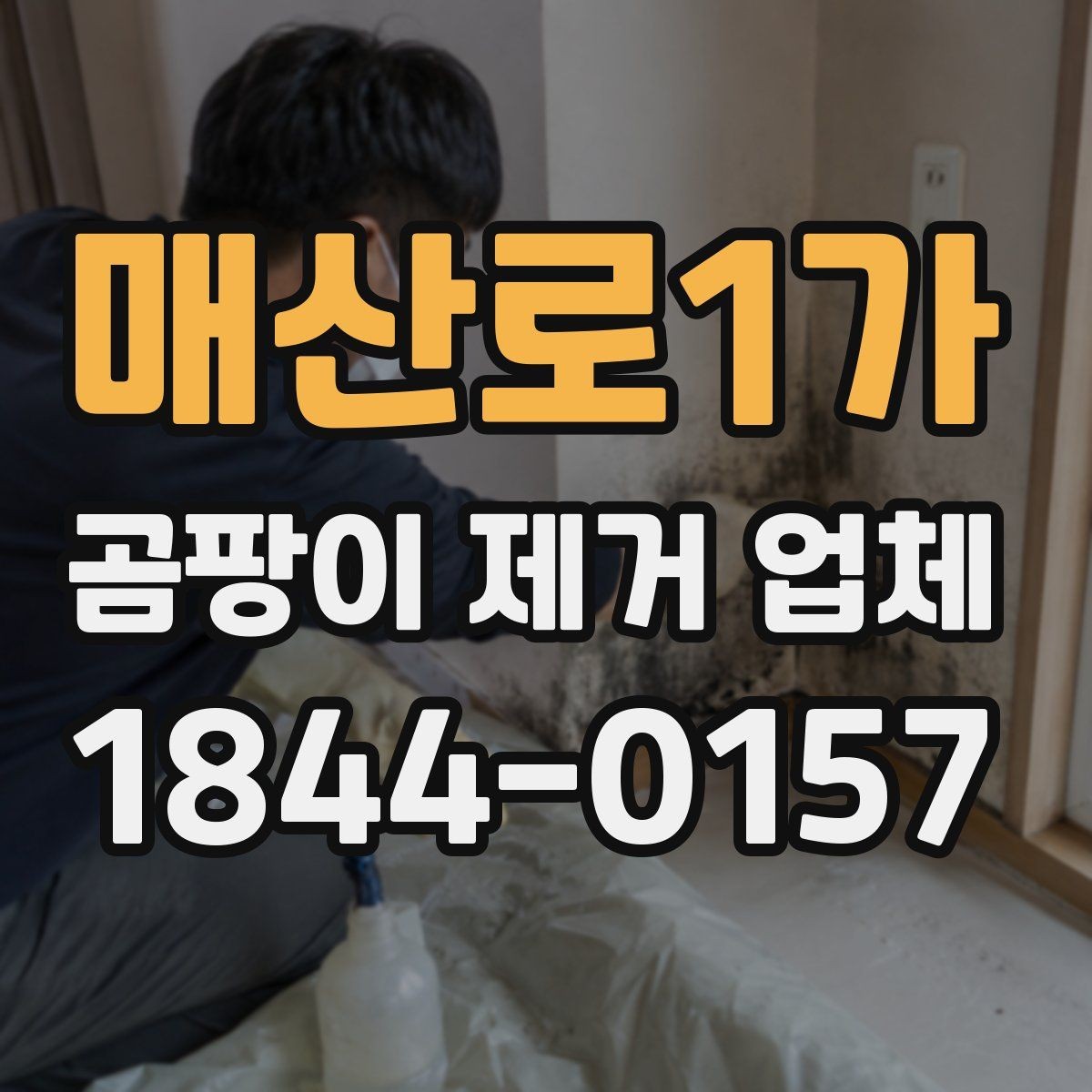 매산로1가 곰팡이 제거 업체 작업 범위는 어디까지일까