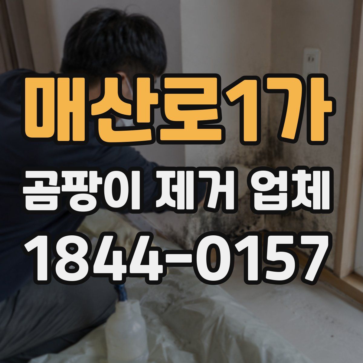 매산로1가 곰팡이 제거 업체