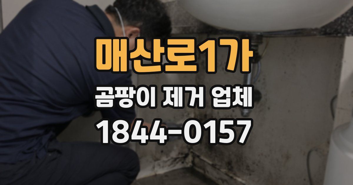 매산로1가 곰팡이 제거 업체