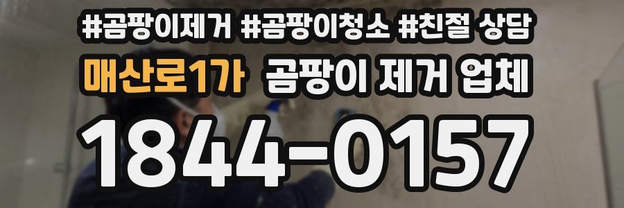 매산로1가 곰팡이 제거 업체