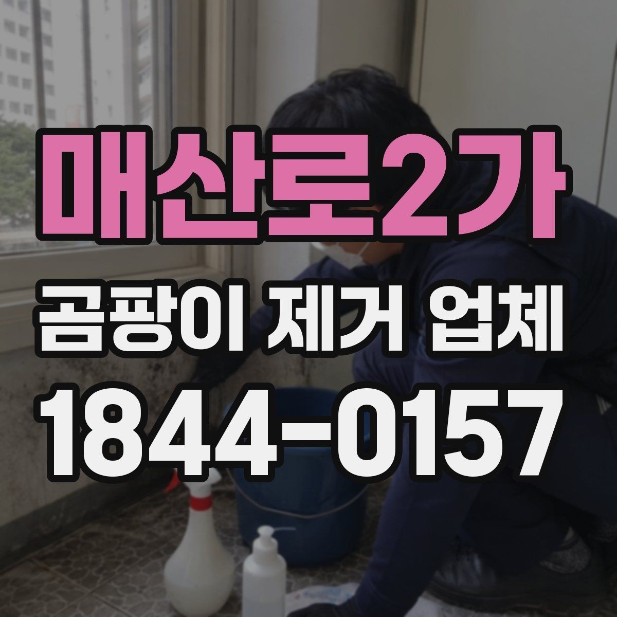 매산로2가 곰팡이 제거 업체 이용 사례로 보는 문제 해결 과정