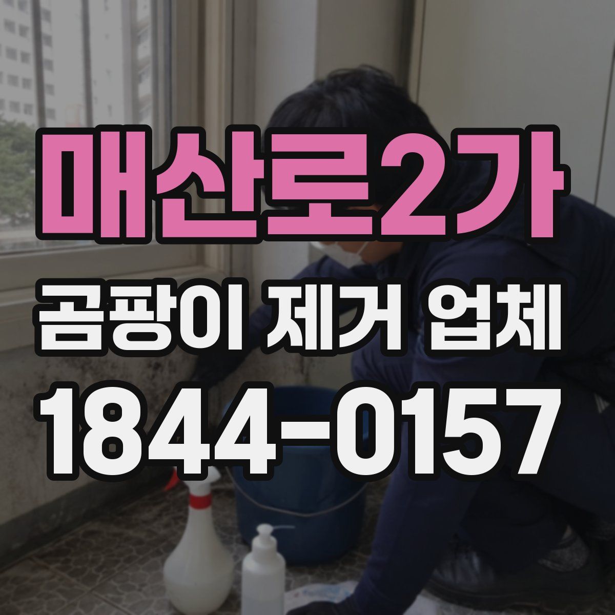매산로2가 곰팡이 제거 업체