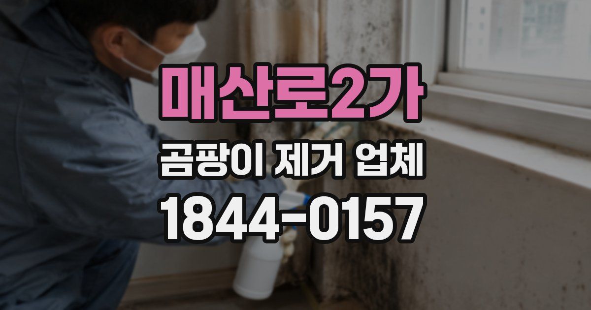매산로2가 곰팡이 제거 업체