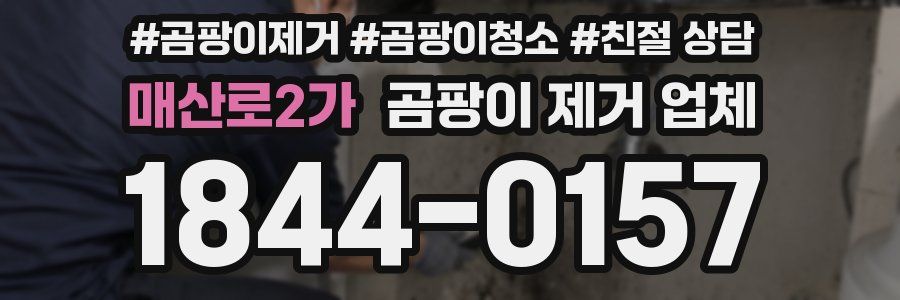 매산로2가 곰팡이 제거 업체