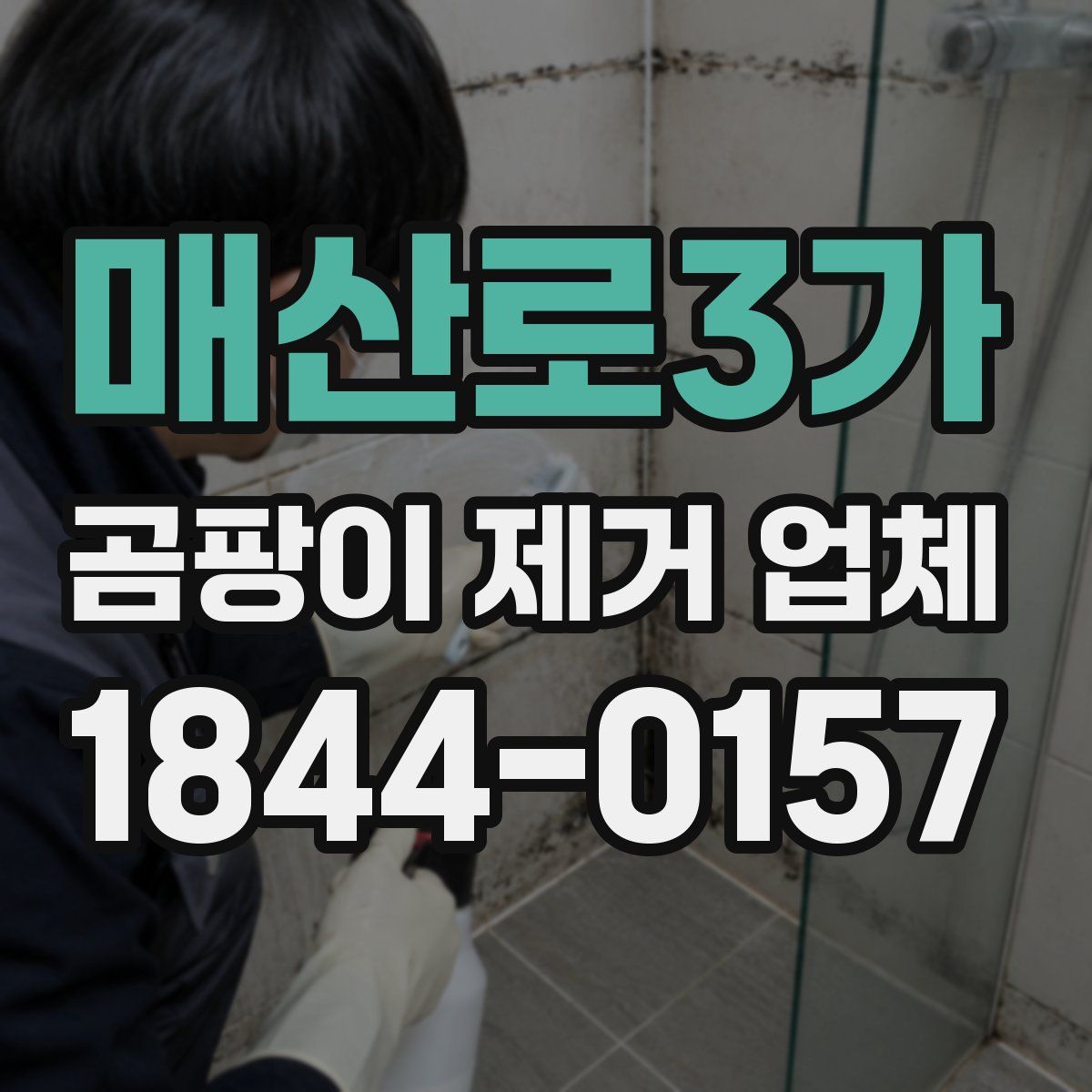 매산로3가 곰팡이 제거 업체