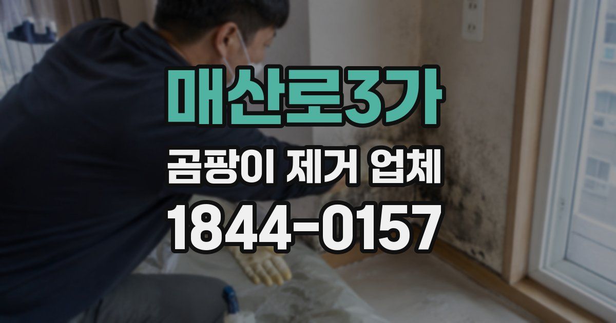 매산로3가 곰팡이 제거 업체