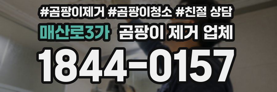 매산로3가 곰팡이 제거 업체
