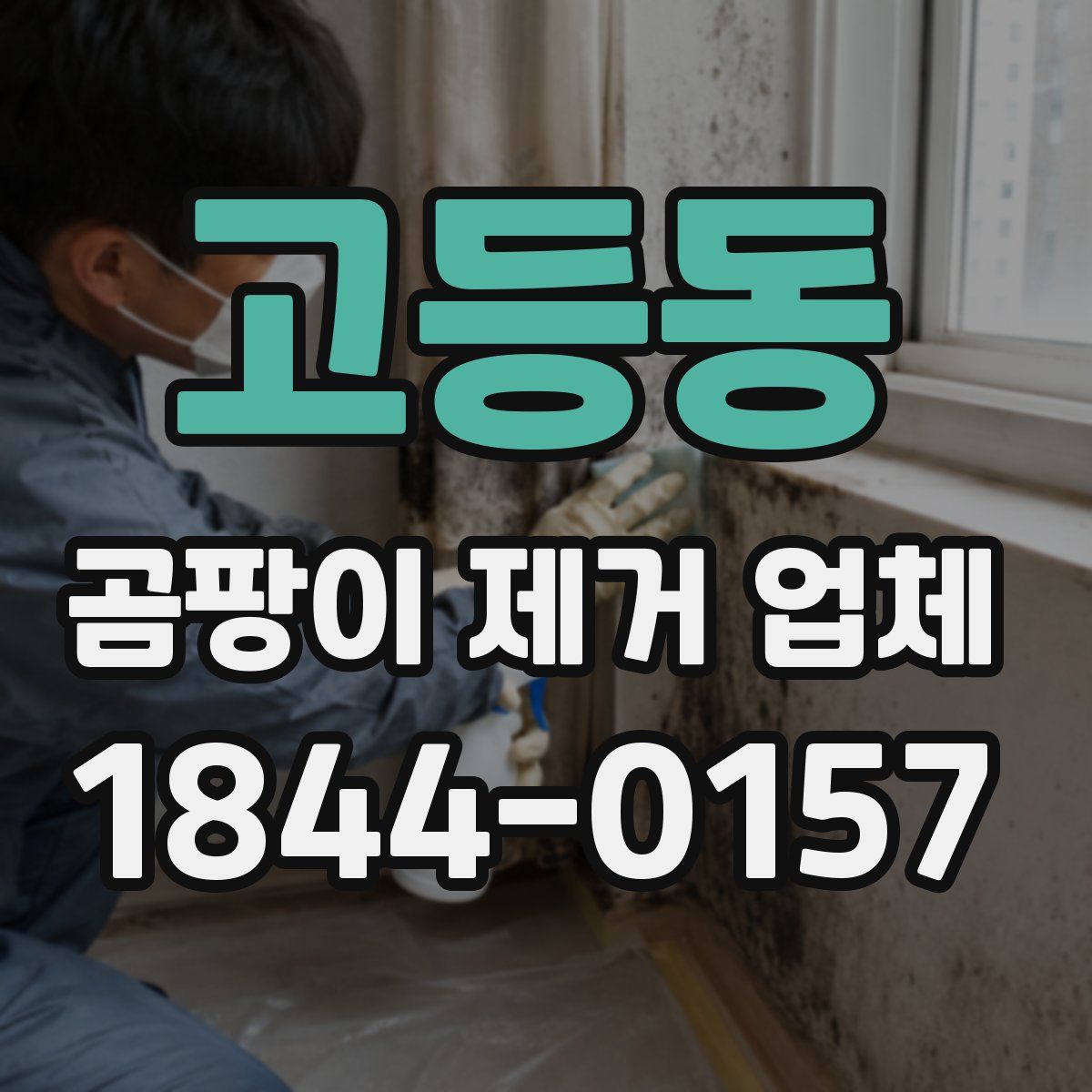 고등동 곰팡이 제거 업체