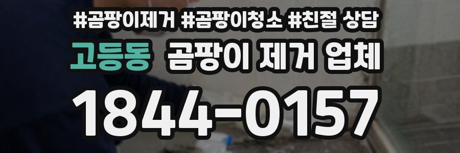 고등동 곰팡이 제거 업체