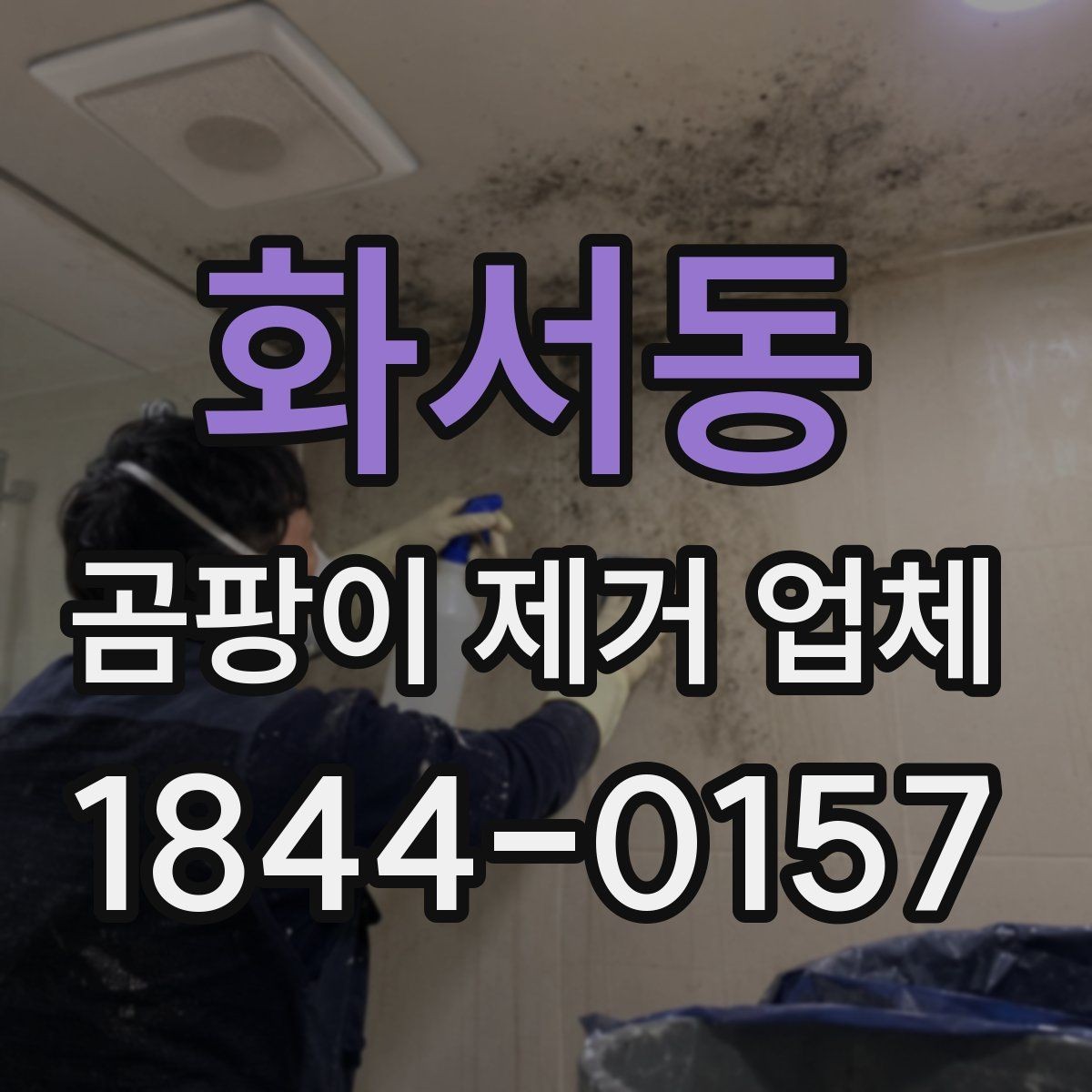화서동 곰팡이 제거 업체 문의 전 확인하면 좋은 사진 예시