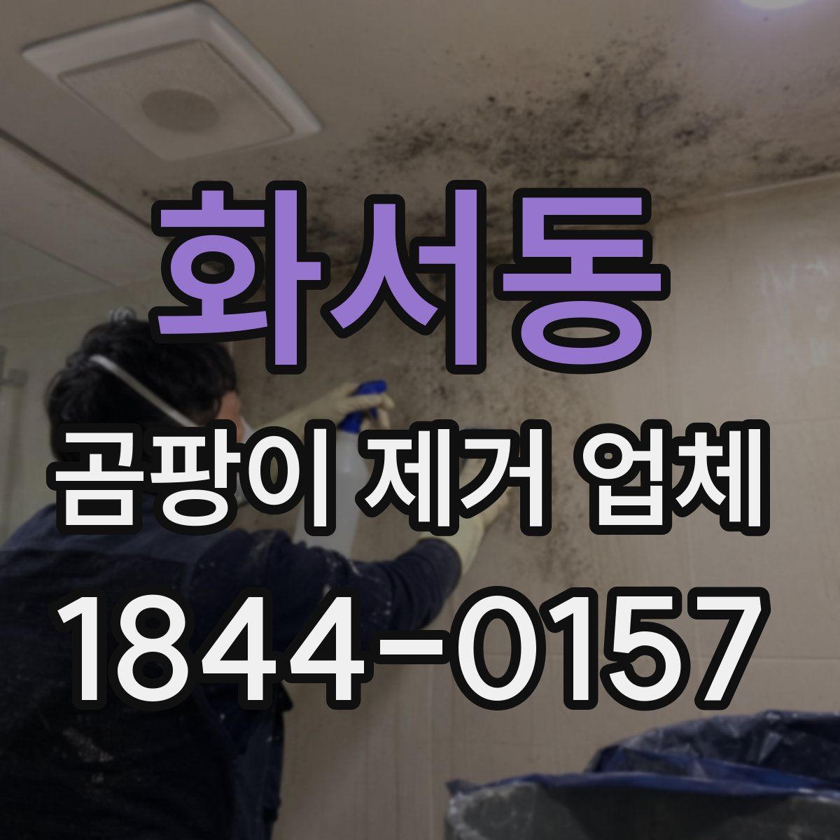 화서동 곰팡이 제거 업체