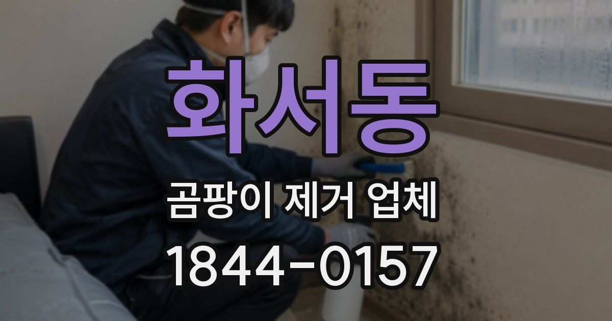 화서동 곰팡이 제거 업체