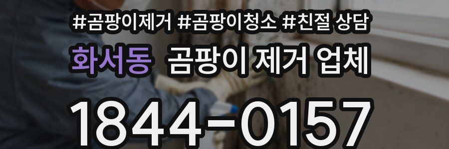 화서동 곰팡이 제거 업체