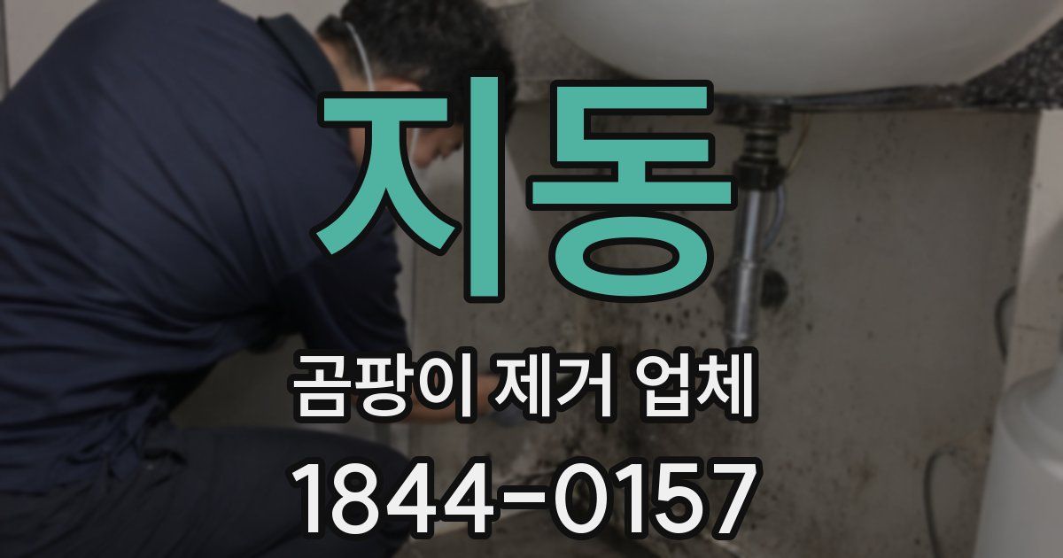 지동 곰팡이 제거 업체