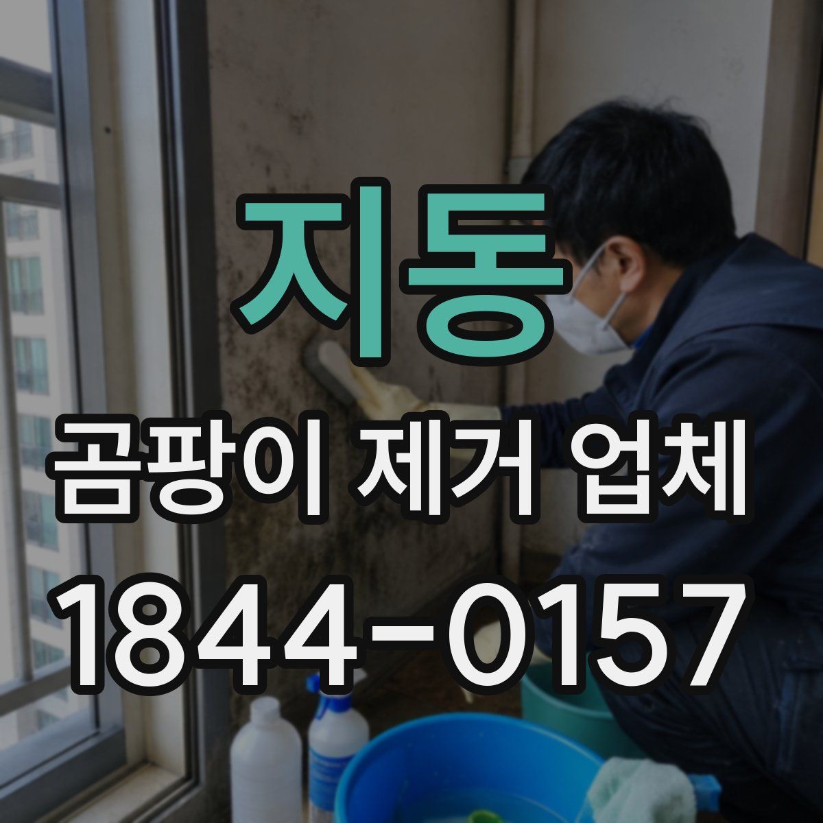 지동 곰팡이 제거 업체