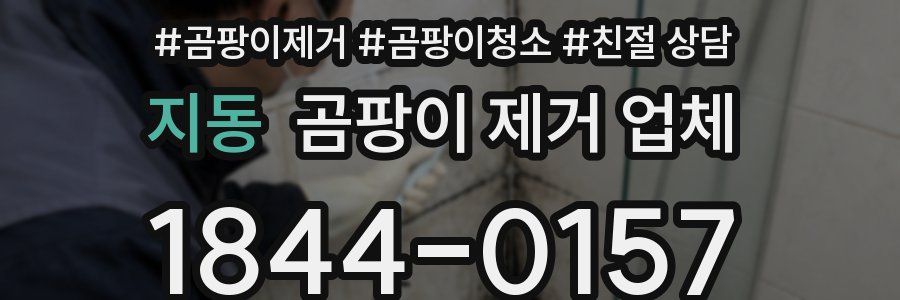 지동 곰팡이 제거 업체