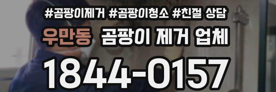우만동 곰팡이 제거 업체