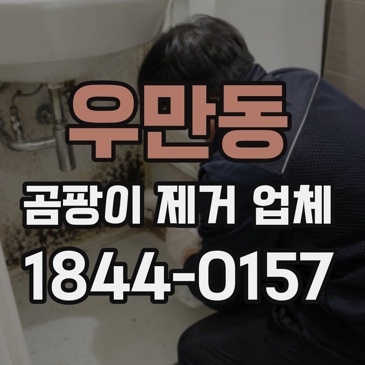 우만동 곰팡이 제거 업체
