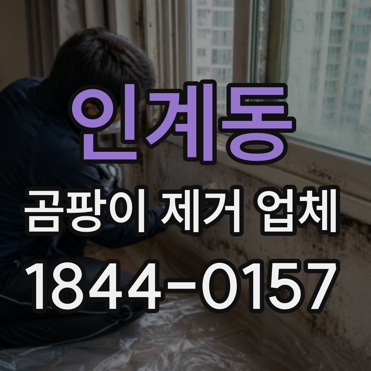 인계동 곰팡이 제거 업체